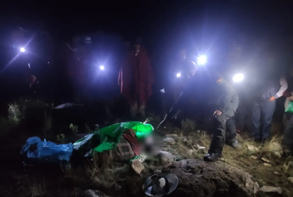 Pasteaba sus ovejas en el campo, cuando fue impactada por un rayo