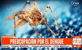 Warnes y Montero son azotados por casos positivos de Dengue 