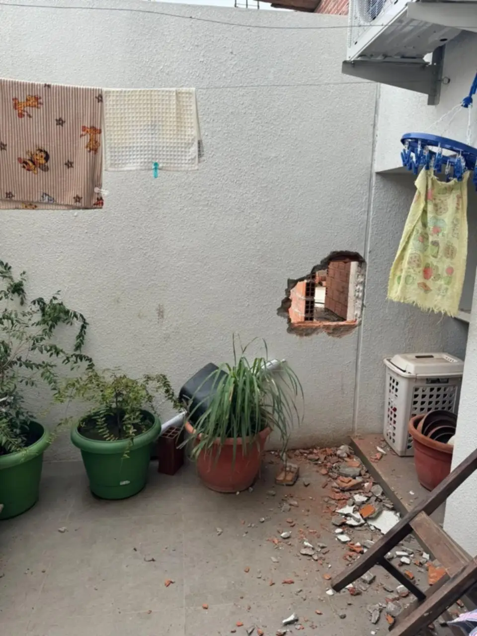 Denuncian la muerte de dos perros durante atraco a una vivienda en Beni