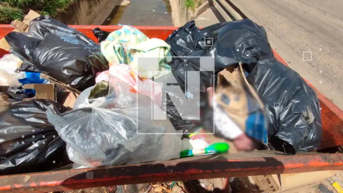Hallan a un bebé recién nacido en un contenedor de basura en La Colorada. FOTO: NTV.