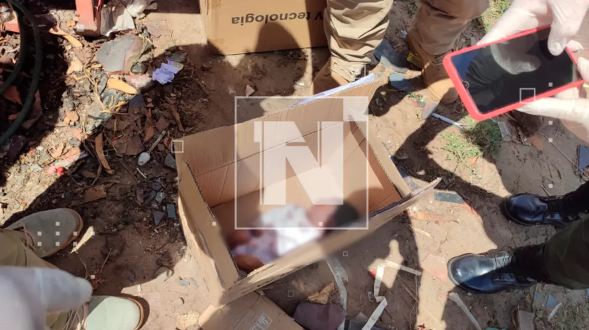Hallan a un bebé recién nacido en un contenedor de basura en La Colorada. FOTO: NTV.