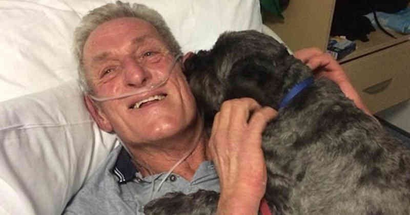 Los ladridos de su perro lo despertaron de un coma Los ladridos de su perro lo despertaron de un coma