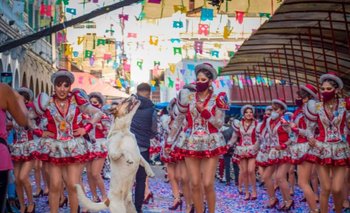 Perrito mañazo “se roba” las miradas en el Carnaval de Oruro