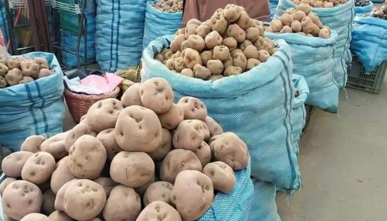 Bajó el precio de la arroba de papa de 90 hasta Bs. 65  