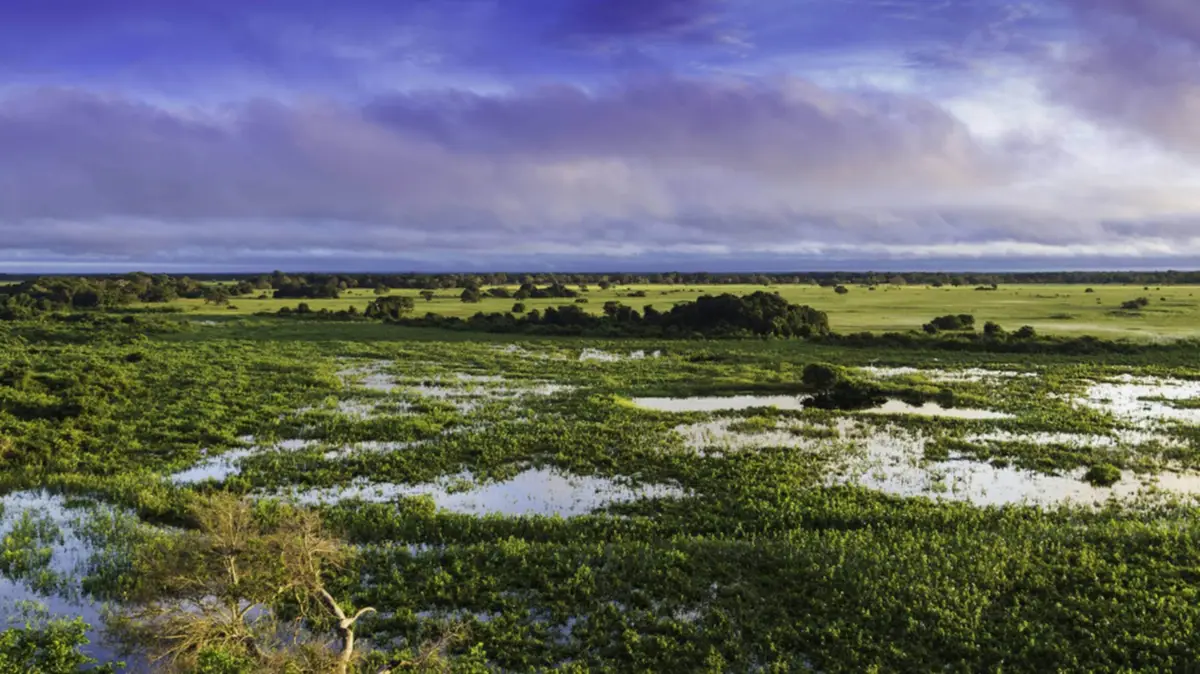Fin de semana de Carnaval: Estos son los sitios turísticos que puedes visitar en Santa Cruz. Foto RR.SS.