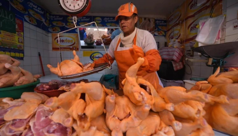 En los días de bloqueo el precio del pollo vivo bajó a Bs 5, dejando millonarias pérdidas a los productores. Foto: Internet