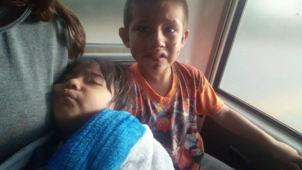 Bus “El Dorado” impactó contra una peña deja tres personas muertas