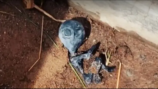Supuesta criatura alienígena muerta