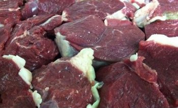 Confirman venta de carne de burro con patógenos y alistan normativa para su mercadeo