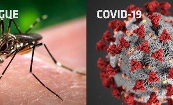 Salud reportó 40 nuevos casos de Covid y 22.474 contagios de dengue