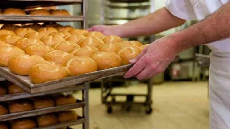 TARIJA: Panadería usaba Bromato para la elaboración del pan diario