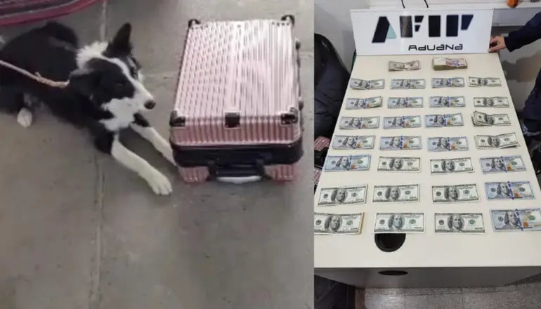 Boliviano intentó ingresar $us 30 mil a la Argentina sin declarar