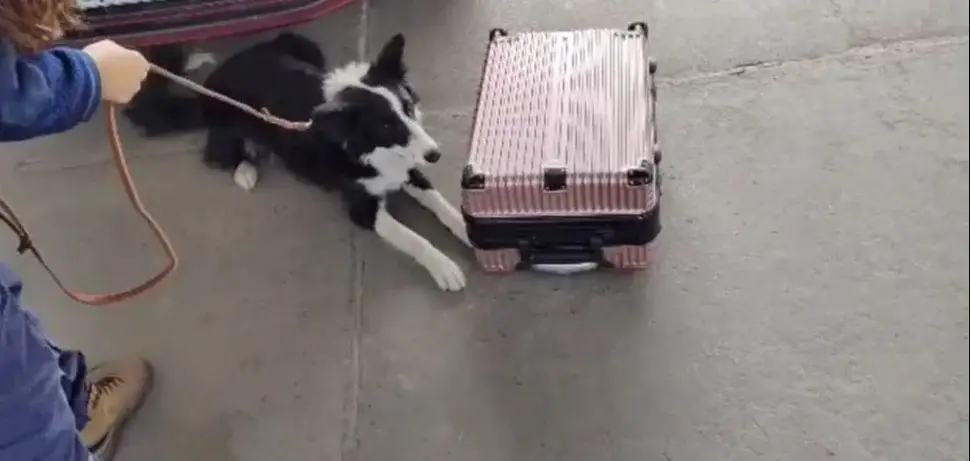 Boliviano intentó ingresar $us 30 mil a la Argentina sin declarar