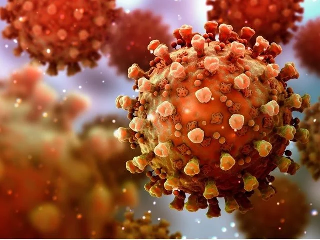 Científica mexicana descubre como bloquear la infección del Covid-19