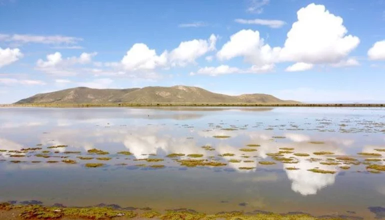 Gobierno desarrollará proyectos para aminorar sequía en el lago Poopó