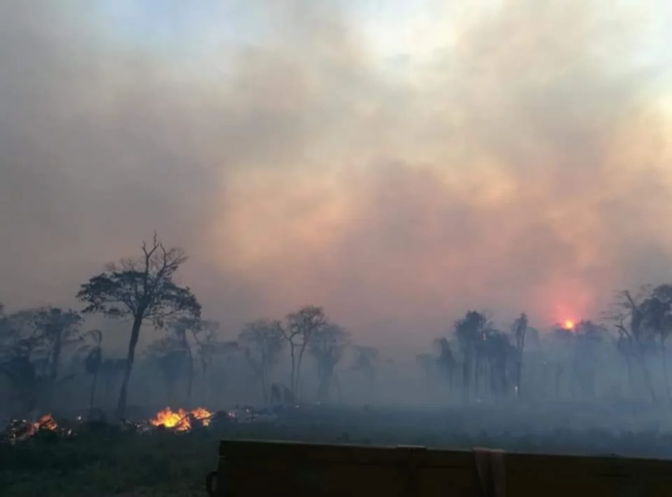 Voraz incendio arrasa con vegetación y animales en Cáceres