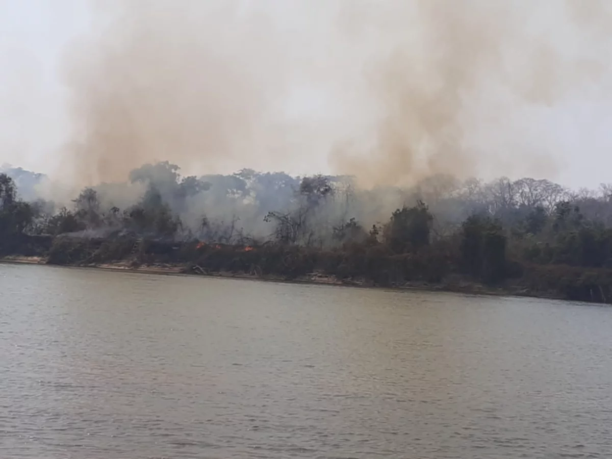Voraz incendio arrasa con vegetación y animales en Cáceres