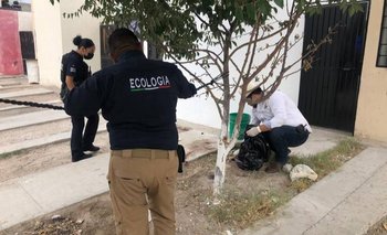 ¡Terrible! Un hombre intentó comerse a un perro en ciudad Juárez