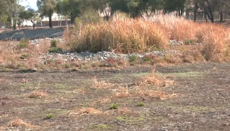 Coña Coña tiene una de las últimas lagunas urbanas y está completamente seca