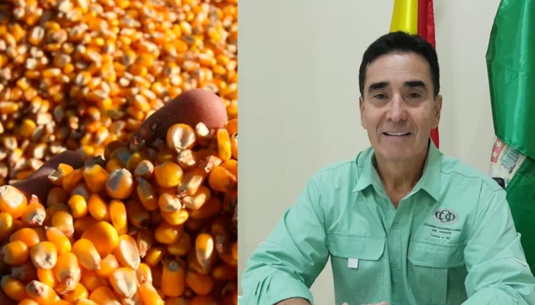 Productores reciben 'luz verde' para implementar semillas mejoradas en Bolivia