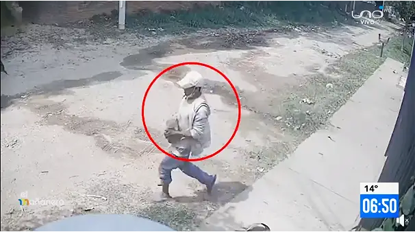 El individuo atacó a pedradas a 'Toffi' hasta causarle la muerte.