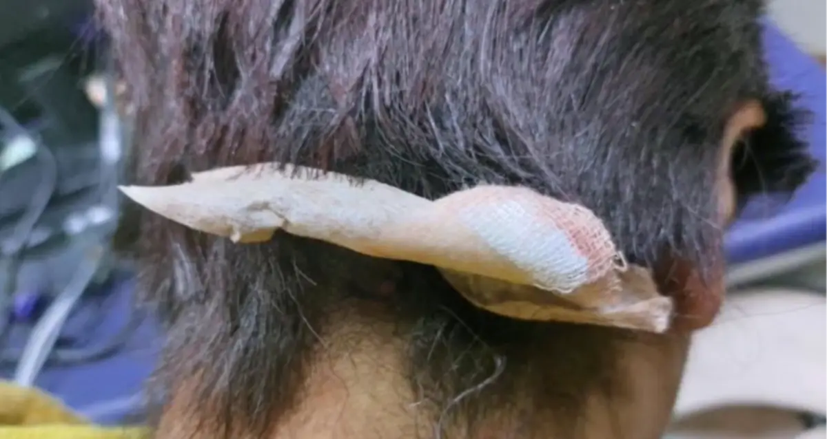 La víctima terminó con el cabello cortado y con agresiones físicas.