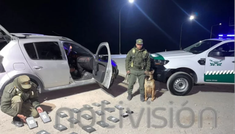 Cae boliviano que llevaba 21 kilos de droga en su vehículo en Argentina