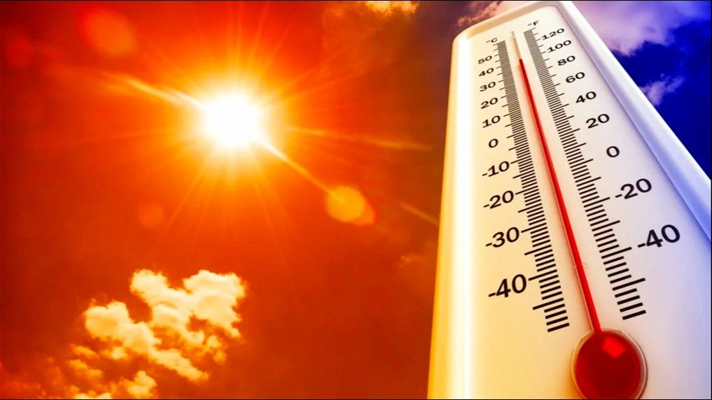 Qu calor en Santa Cruz Poblaci n de riesgo y consejos b sicos