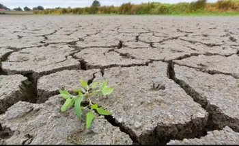 Declaran desastre departamental en Oruro por sequía