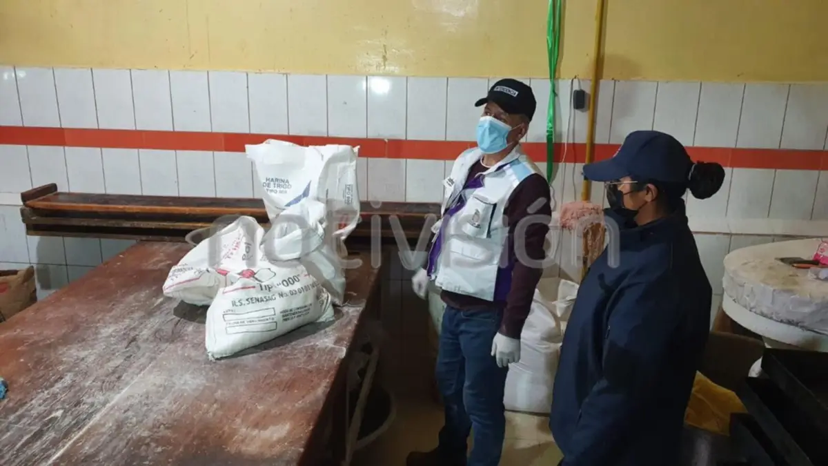 Harina vencida, eses de roedores y falta de higiene: los resultados de un operativo en panaderías