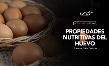 Propiedades nutritivas del huevo