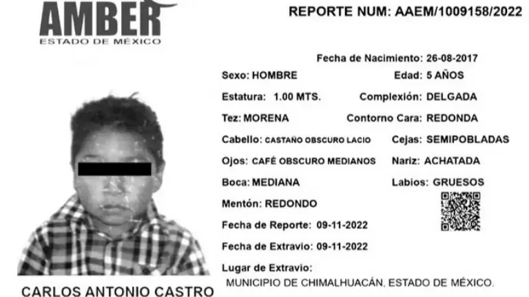 "Denunciaron un secuestro": Un niño de 5 años fue asesinado y enterrado en el patio de su casa