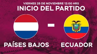 Paises Bajos vs Ecuador