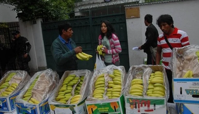 Deuda millonaria: Bananeros del Trópico exigen el pago por exportación a Argentina. Imagen archivo.