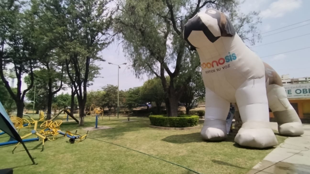 Cochabamba abrirá el primer parque para perros - Red Uno de Bolivia