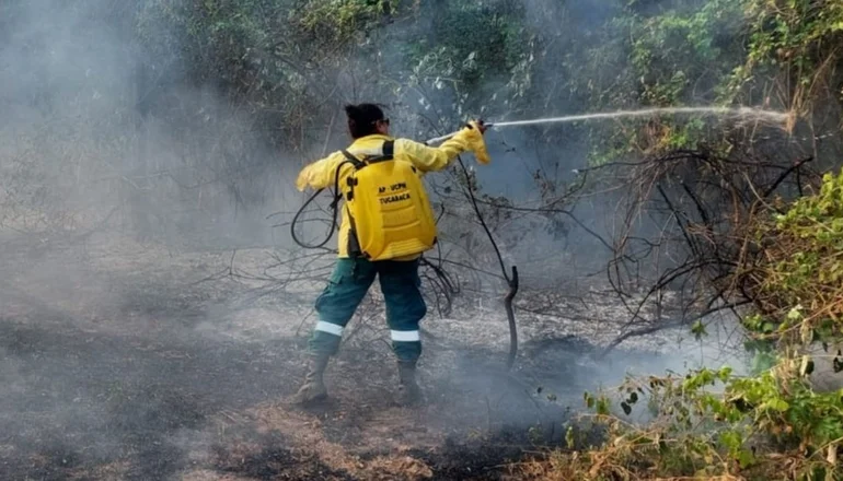 Más de 4.000 personas luchan contra los incendios en el departamento. Foto: Gobernación de Santa Cruz