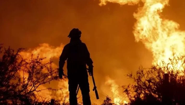 Bolivia perdió 2,9 millones de hectáreas por los incendios; Beni es el más afectado