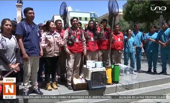 Veterinarios se unen para salvar a los animales de San Buenaventura