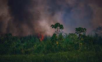 Gobernación cruceña reporta segundo día sin incendios forestales