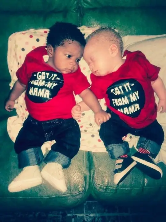 bebés gemelos negros