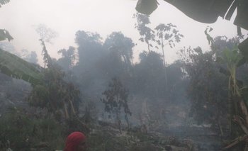 Al menos 85 hectáreas de Zongo están afectados por incendios
