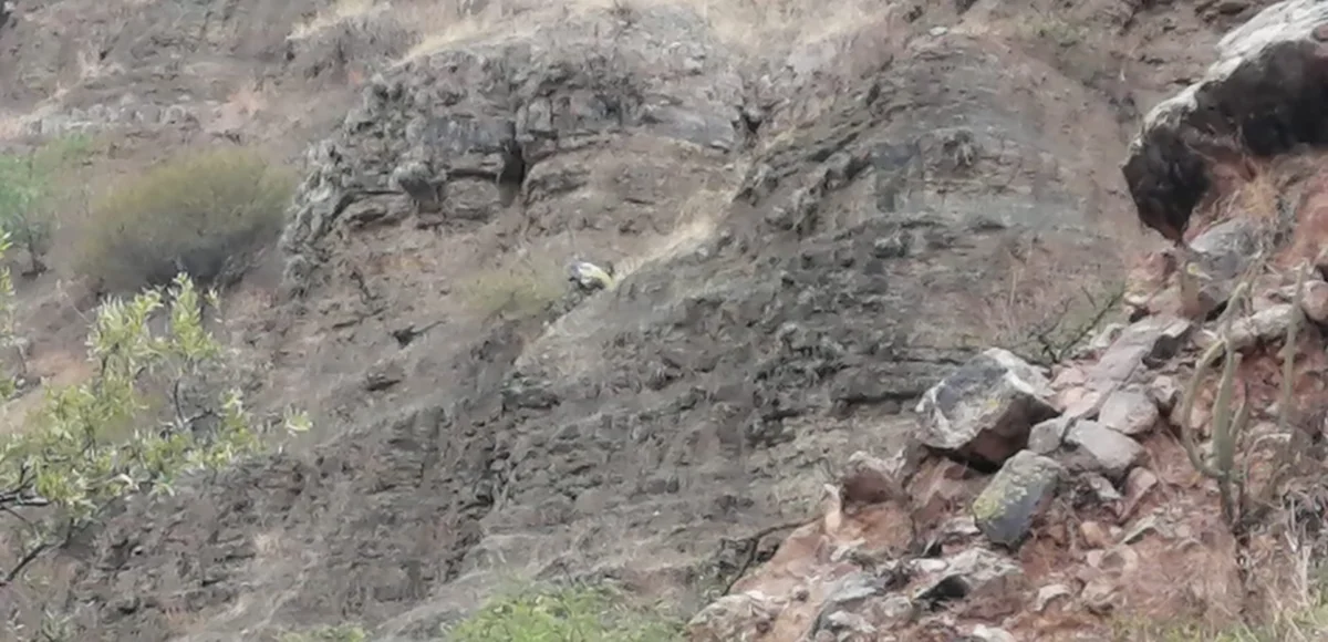 Encuentran el cuerpo de Gertrudis Arispe en un barranco camino a Santiváñez