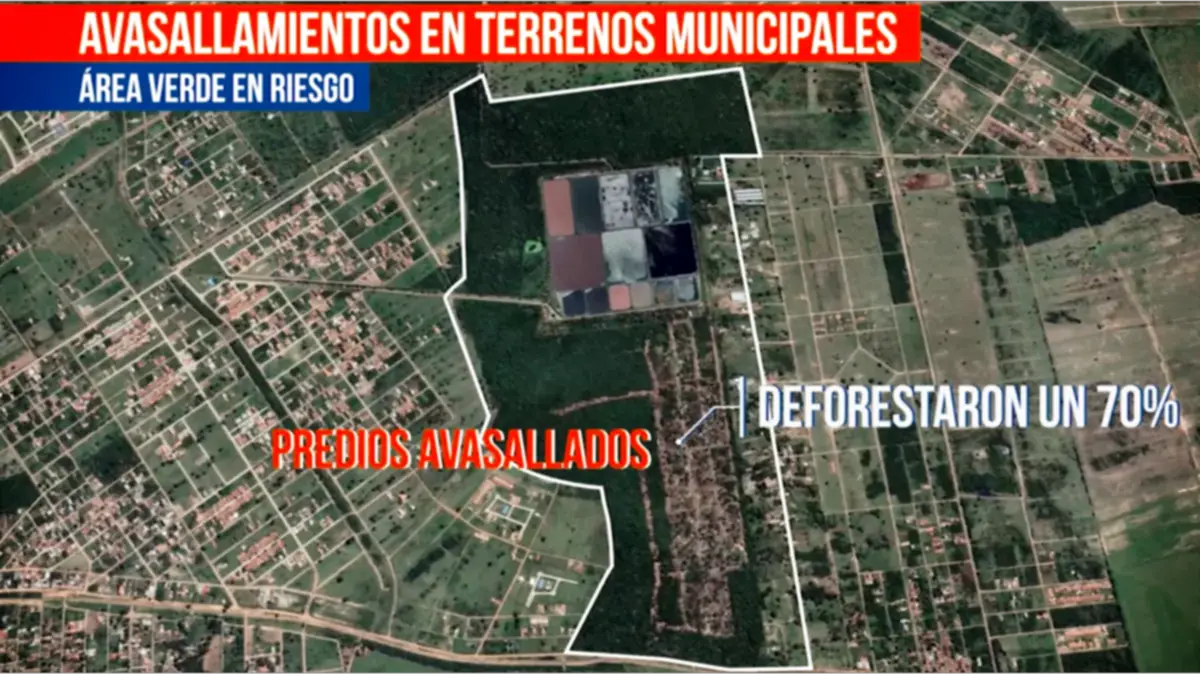 Son más de 30 hectáreas las afectadas