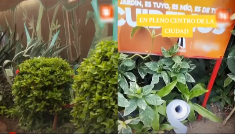 Denuncian que convirtieron la Manzana Uno en baño público. FOTO: Captura de pantalla.