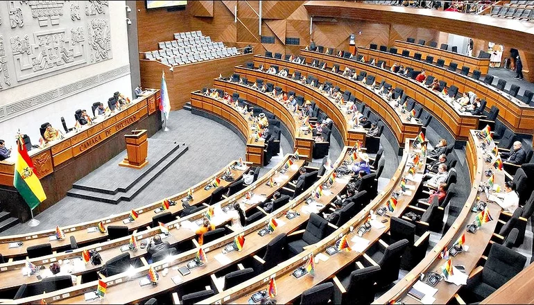 La Cámara de Diputados. FOTO: APG